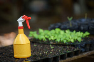 Foggy bottle on planting tray near seedling